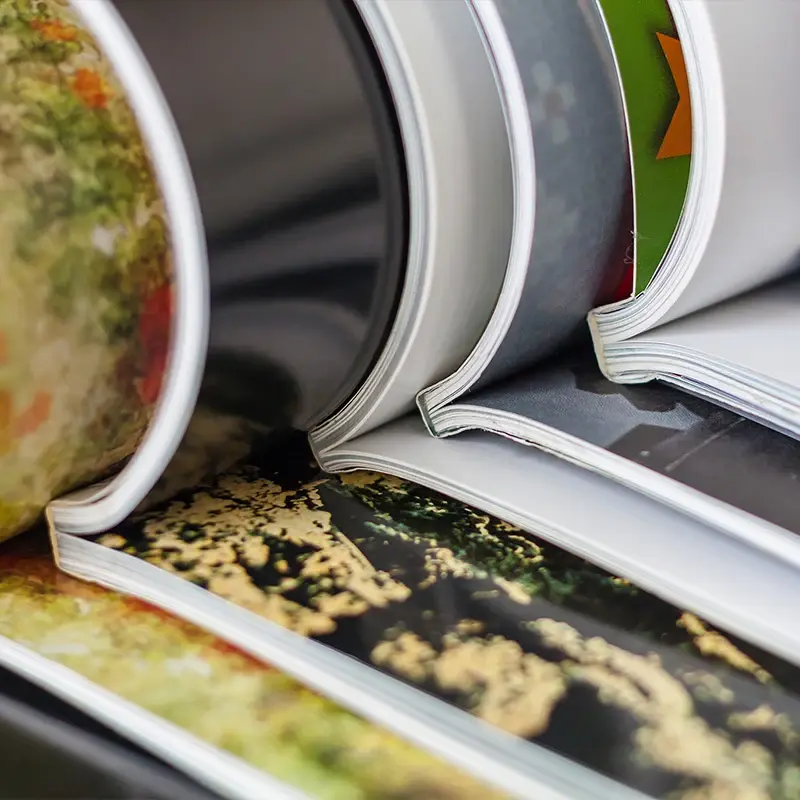 Close-up of open printed photo books/catalogues.