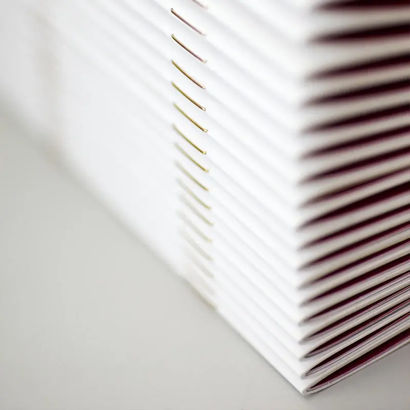 Close-up of saddle-stitched booklets.