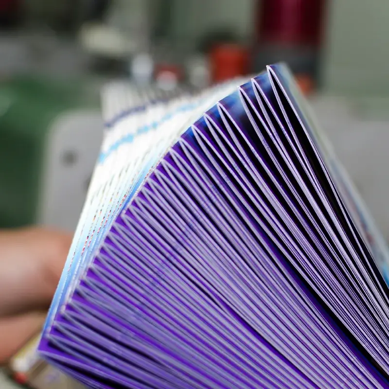 Close-up of fanned saddle-stitched booklet spines
